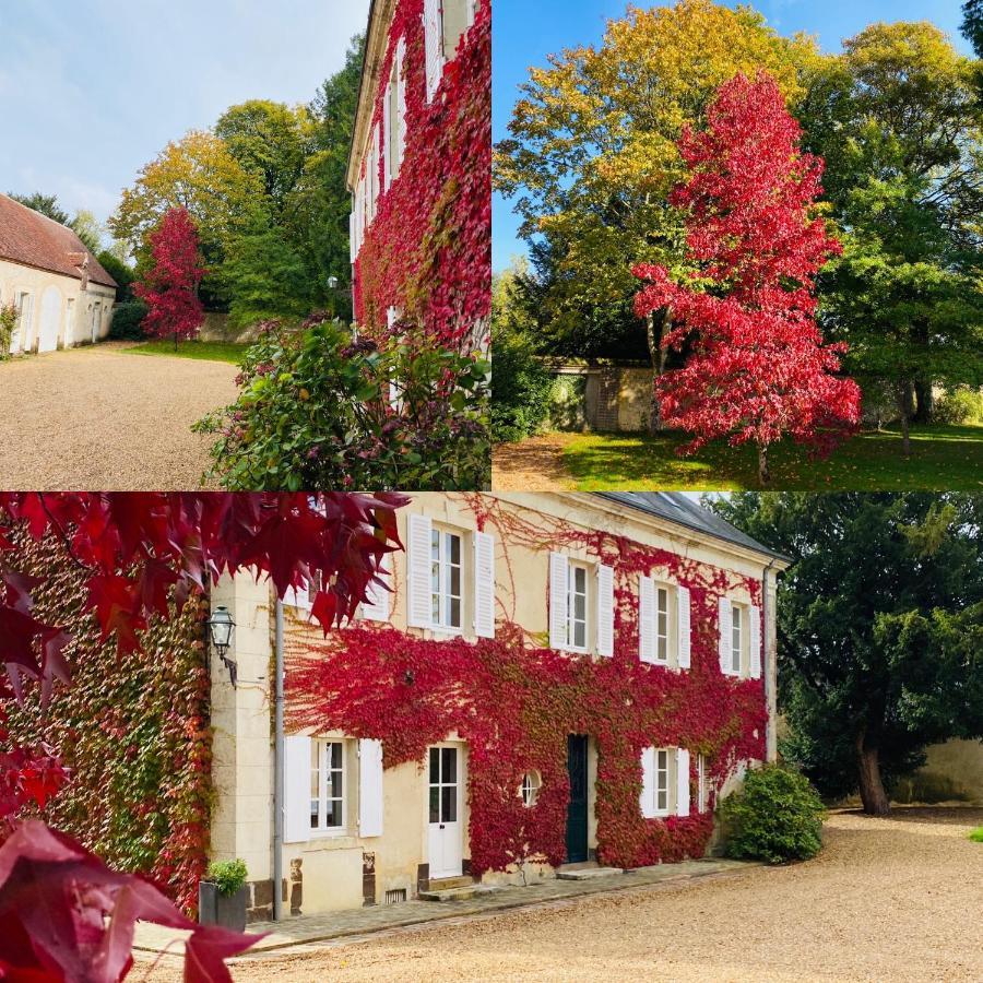 Les Couleurs Du Verger Beaumont-les-Autels Ngoại thất bức ảnh